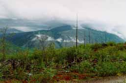 ������� �� ���� �� ���