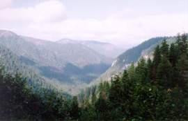 ��� � ���